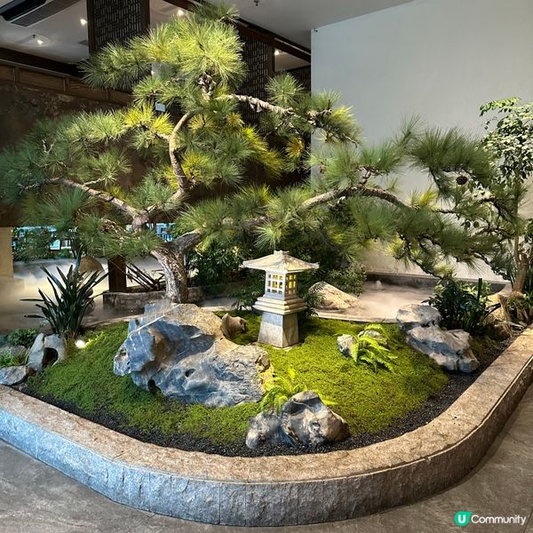 深圳打邊爐新體驗 | 南山區「小火璽」椰漿雞火鍋🥥🍗