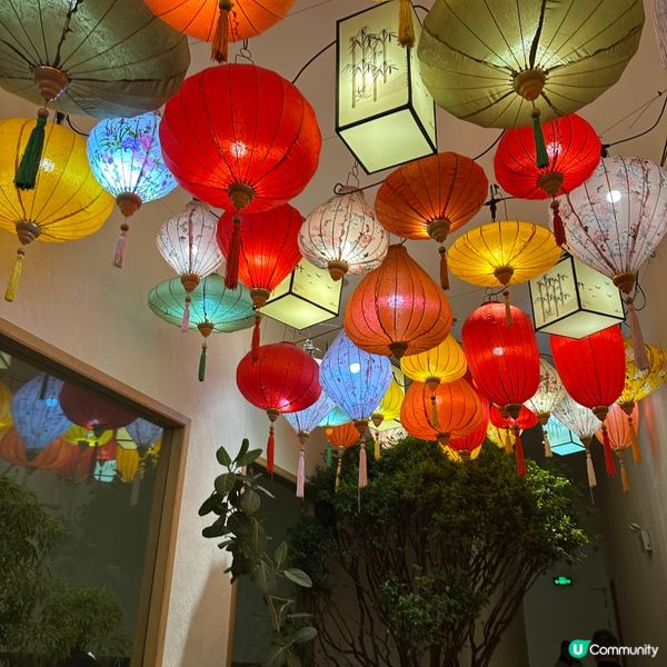 深圳打邊爐新體驗 | 南山區「小火璽」椰漿雞火鍋🥥🍗