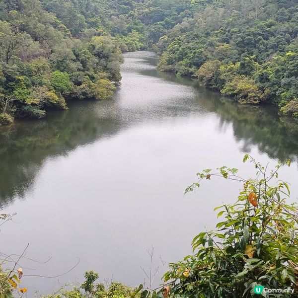 衛徑大埔頭-九龍坑山-八仙嶺-大美督