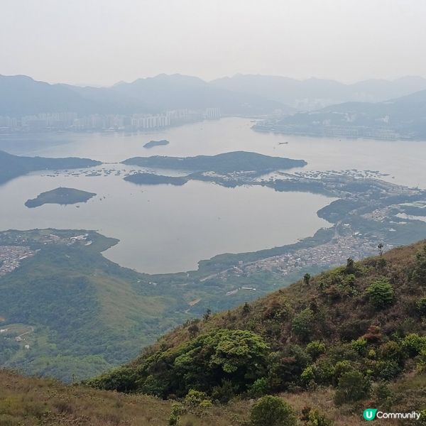 衛徑大埔頭-九龍坑山-八仙嶺-大美督
