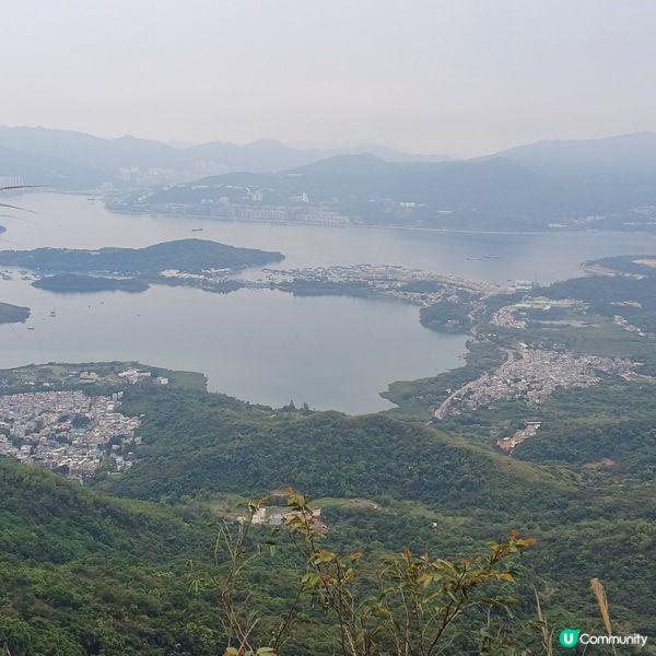 衛徑大埔頭-九龍坑山-八仙嶺-大美督