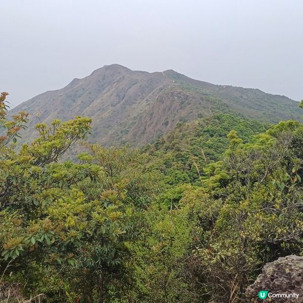 衛徑大埔頭-九龍坑山-八仙嶺-大美督