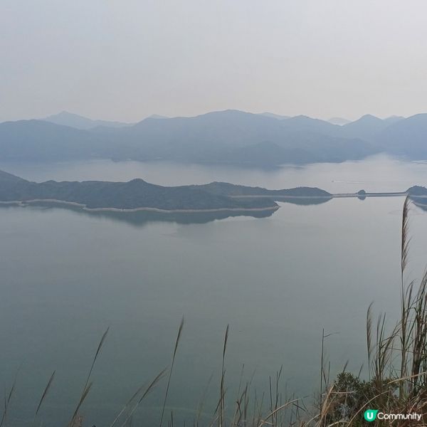 衛徑大埔頭-九龍坑山-八仙嶺-大美督