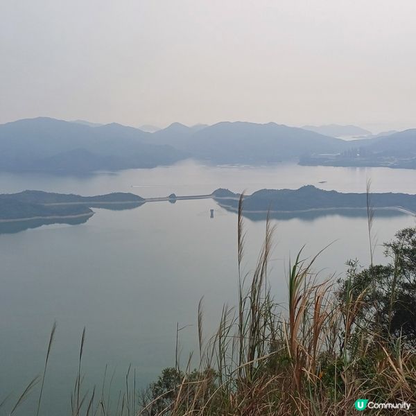 衛徑大埔頭-九龍坑山-八仙嶺-大美督