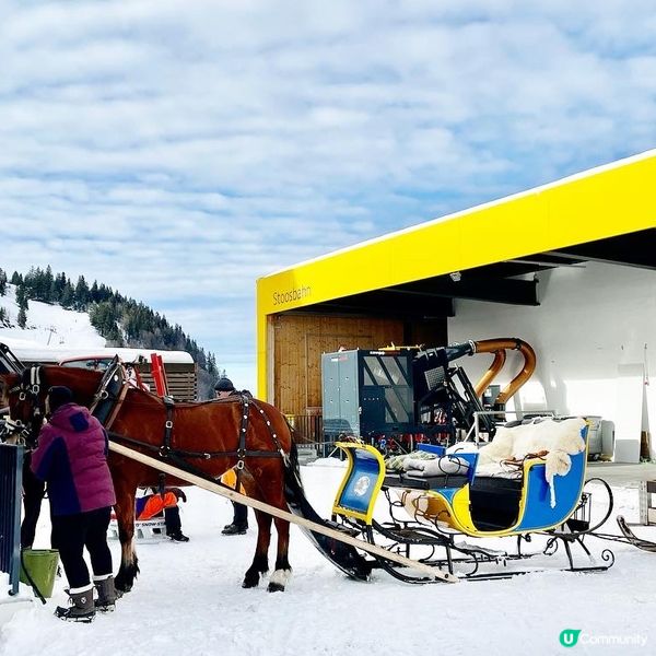 《高氧週末》🎿