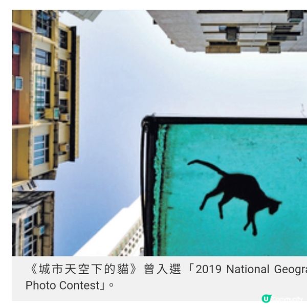 貓奴攝影師沙龍記錄社區 留住人貓瞬間與城市溫度