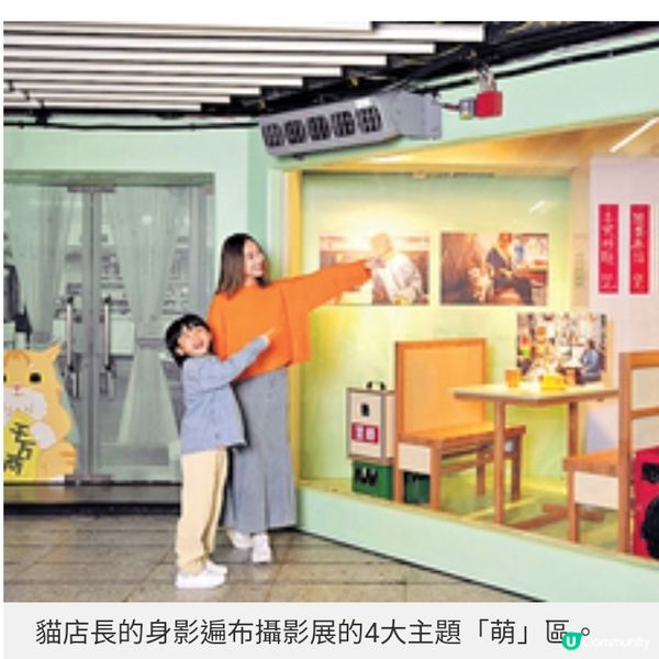 貓奴攝影師沙龍記錄社區 留住人貓瞬間與城市溫度