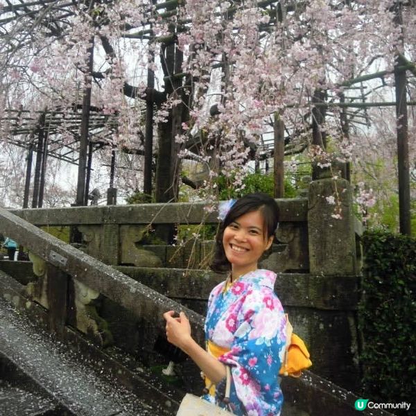 和服甜絲絲雨濛濛賞日櫻