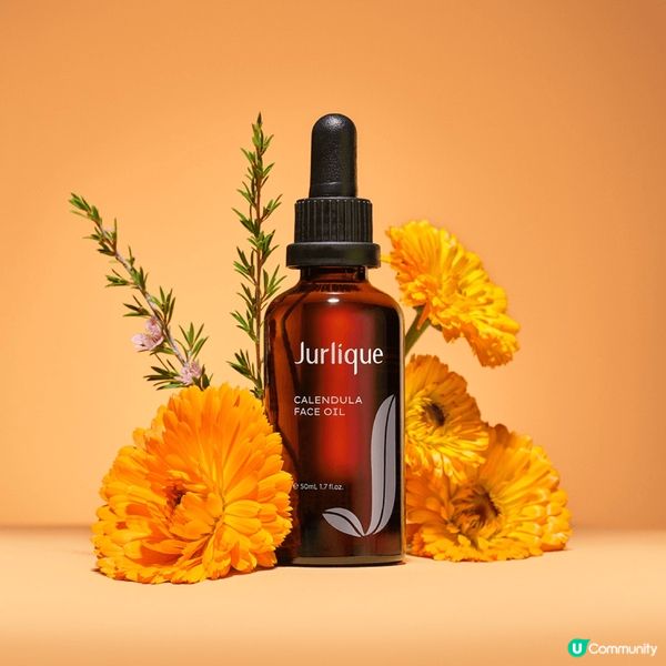 金盞花修護滋潤油具有金盞花成份 起平衡水油滋潤作用 玫瑰花奔...