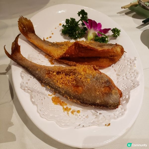 🎖 灣仔米芝蓮一星🌟 浙江軒，食過未？😋