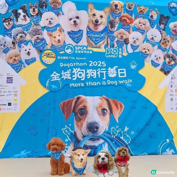 人寵馬場嘉年華