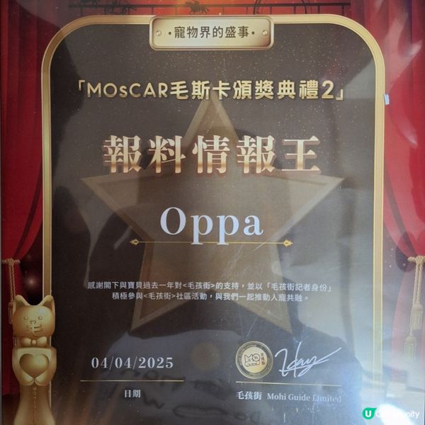 人寵馬場嘉年華