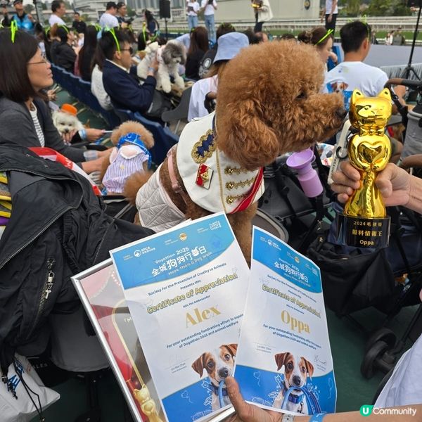 人寵馬場嘉年華