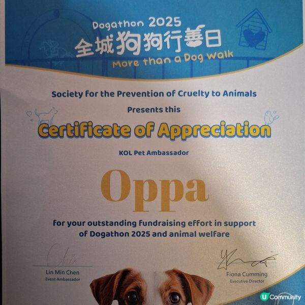 人寵馬場嘉年華