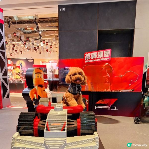 🏎️ 速度與激情，最後衝刺！