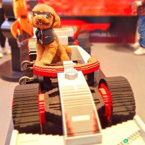 🏎️ 速度與激情，最後衝刺！