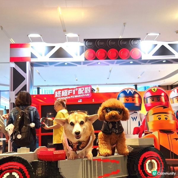 🏎️ 速度與激情，最後衝刺！