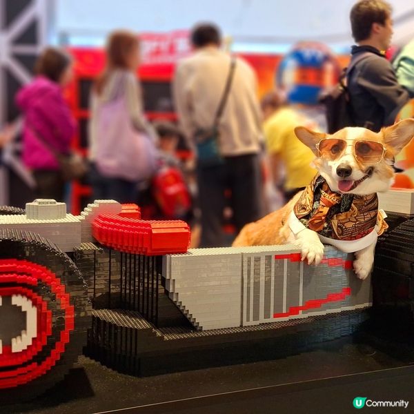 🏎️ 速度與激情，最後衝刺！