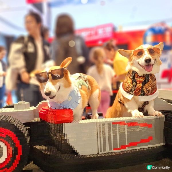 🏎️ 速度與激情，最後衝刺！