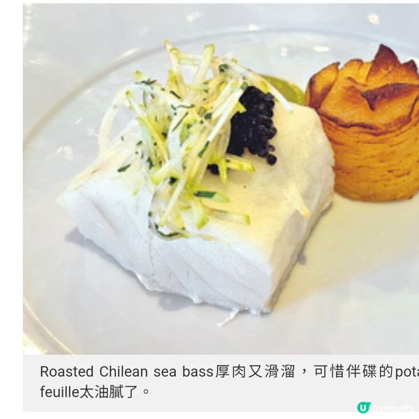 率先品嘗大洋郵輪美食之旅一個價錢服務全包周遊全球熱點