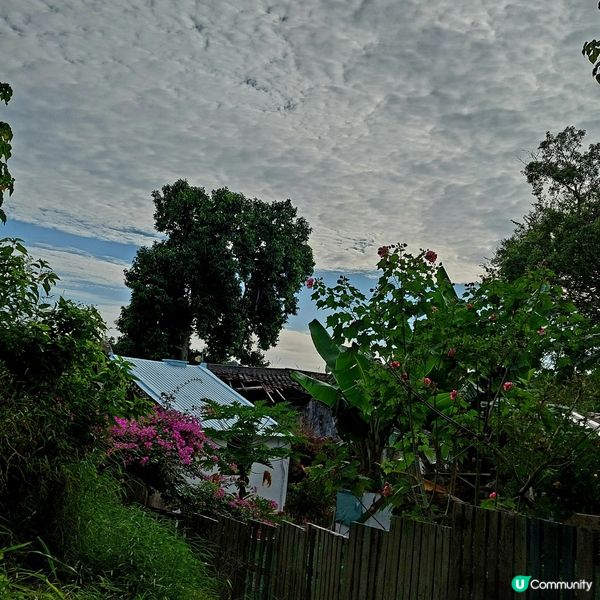 西貢鹽田梓一日遊🏝️  避開人潮，輕鬆玩樂！