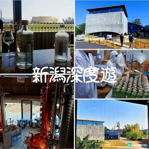 新潟琴酒(Gin) 之旅 🍸