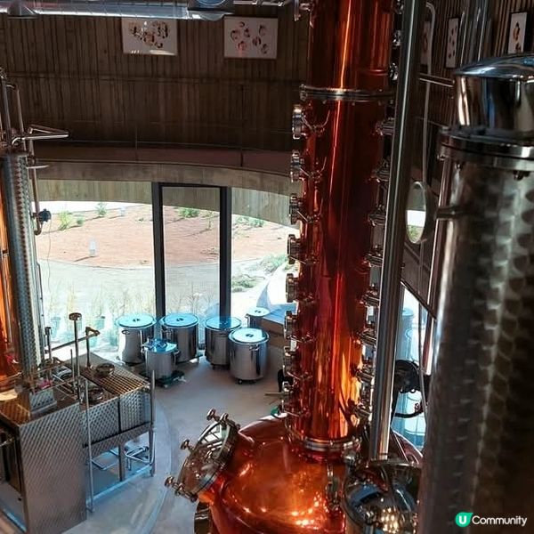 新潟琴酒(Gin) 之旅 🍸