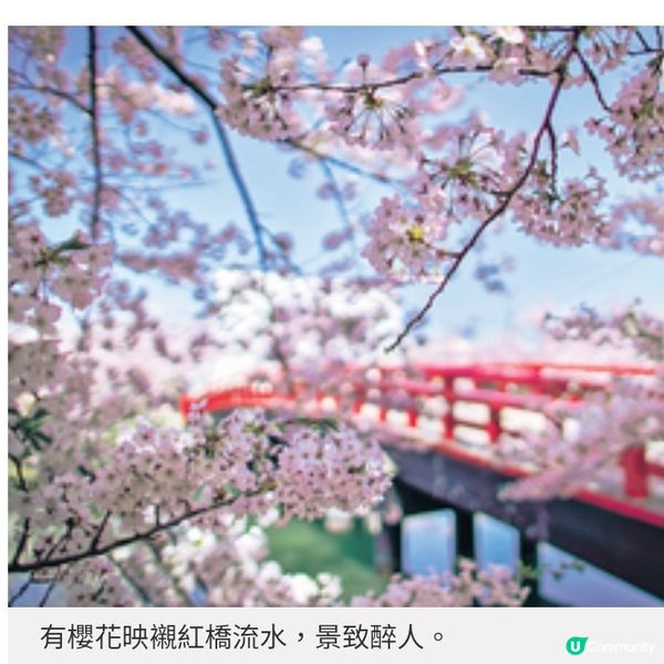 青森4月櫻花初綻4個絕景打卡地