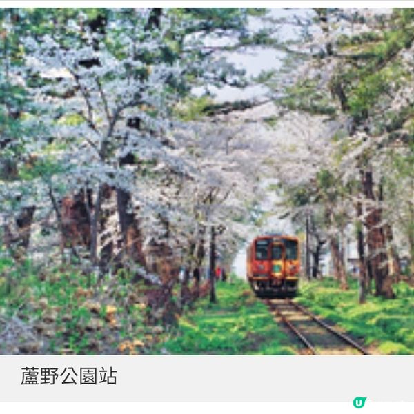 青森4月櫻花初綻4個絕景打卡地