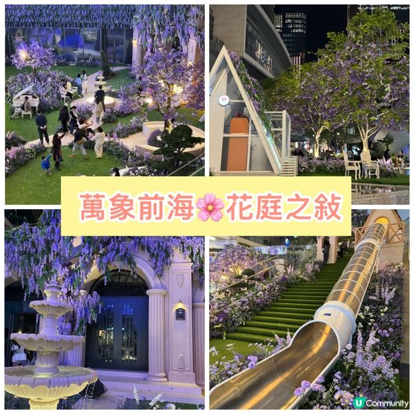 ## 萬象前海🌸春日花海