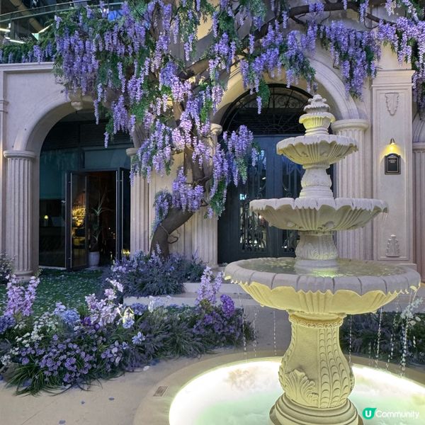 ## 萬象前海🌸春日花海