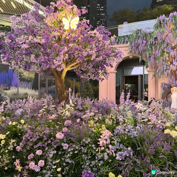 ## 萬象前海🌸春日花海