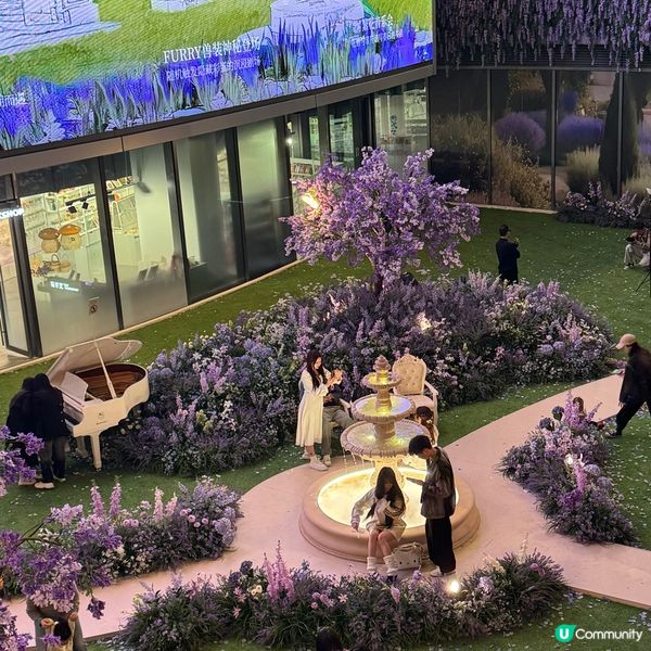 ## 萬象前海🌸春日花海