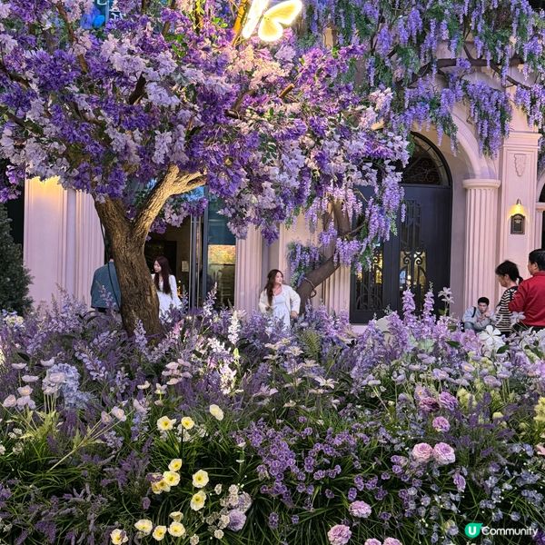 ## 萬象前海🌸春日花海