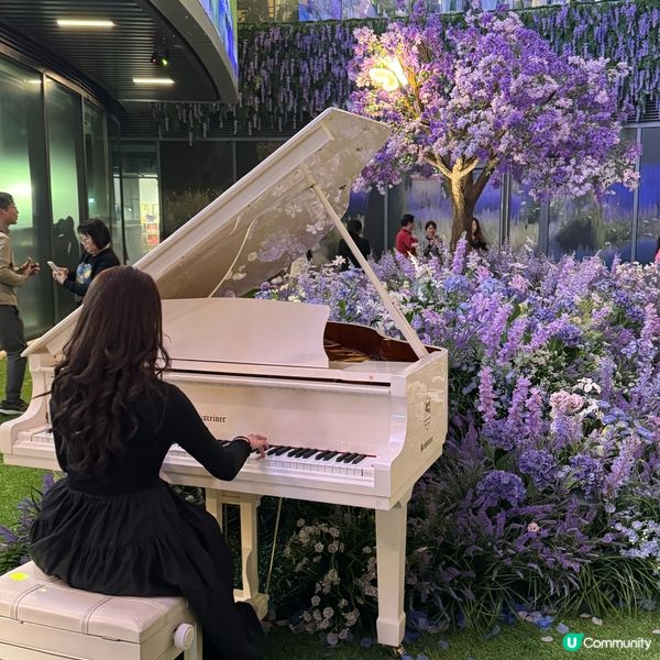 ## 萬象前海🌸春日花海