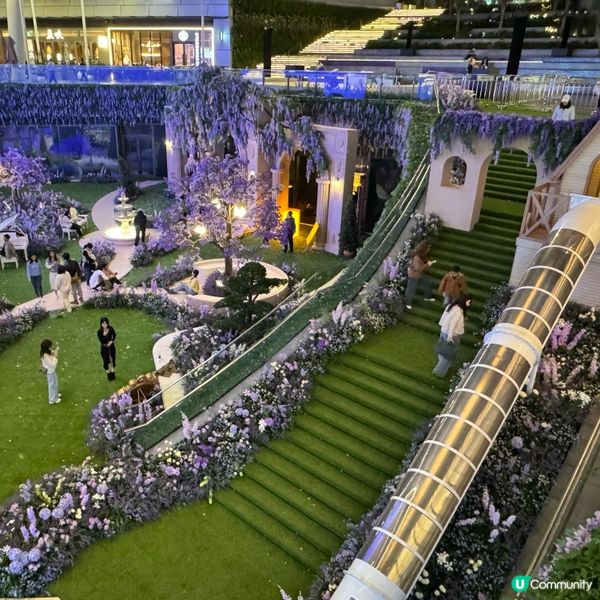 ## 萬象前海🌸春日花海