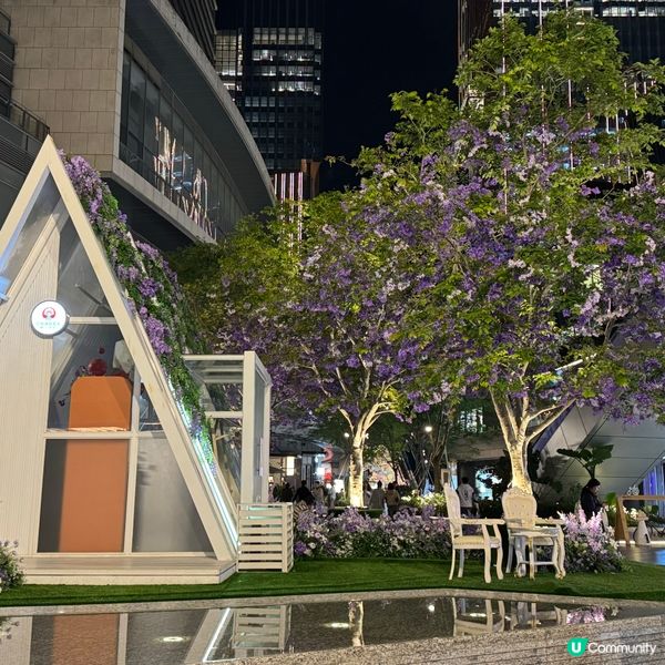 ## 萬象前海🌸春日花海