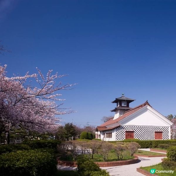 重要文化財產 +新潟賞櫻好去處🌸 