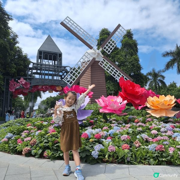 深圳荷蘭花卉公園🌷！一家大細，情侶，朋友都岩去？📸