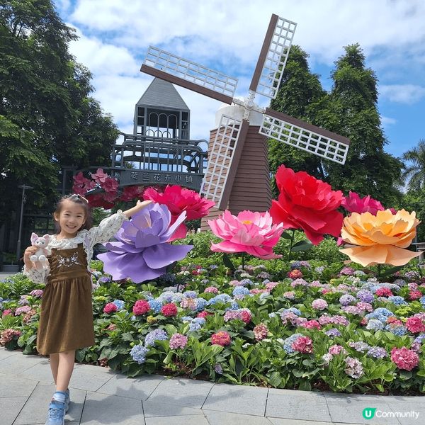 深圳荷蘭花卉公園🌷！一家大細，情侶，朋友都岩去？📸
