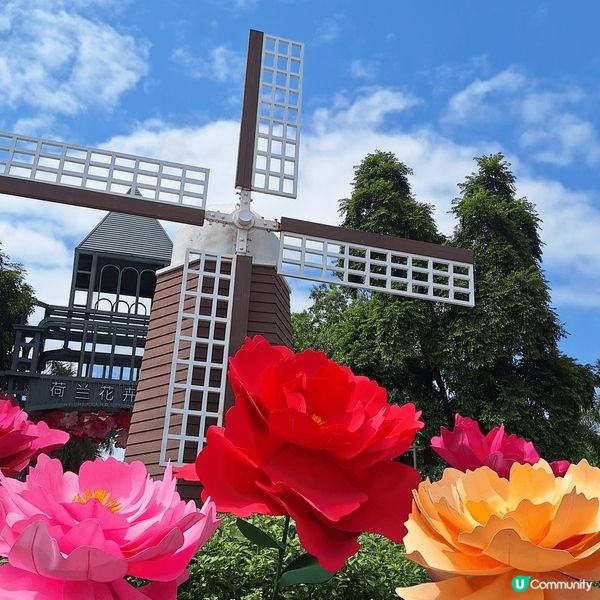 深圳荷蘭花卉公園🌷！一家大細，情侶，朋友都岩去？📸