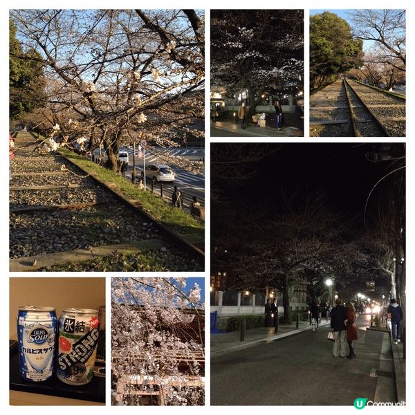 3月 又係日本賞櫻花嘅季節