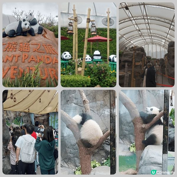 我的生日去同家姐细佬慶祝，原來可先拎飛，但沒留意，只好排隊後...