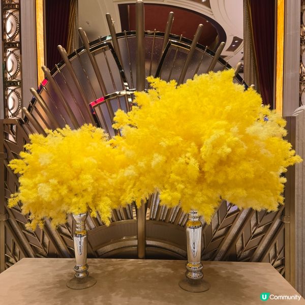 #澳門必食 #澳門必買 #澳門必玩 #澳門打卡 #葡撻 #豬...