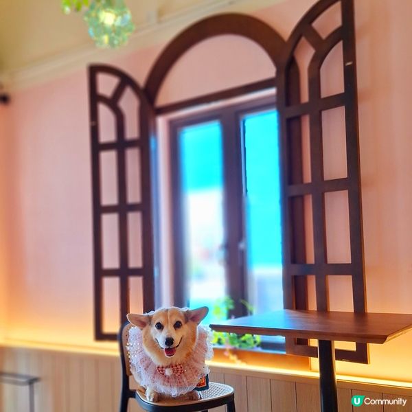 馬灣新店開張啦🥳