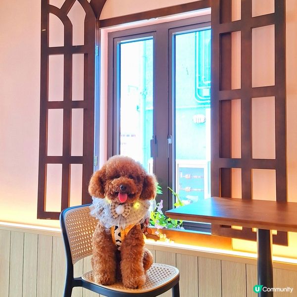 馬灣新店開張啦🥳