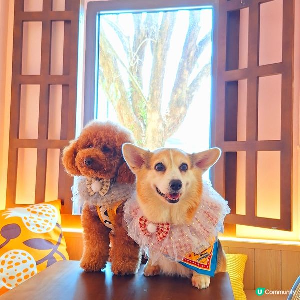 馬灣新店開張啦🥳