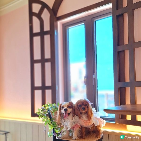 馬灣新店開張啦🥳