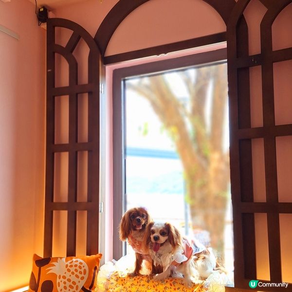 馬灣新店開張啦🥳