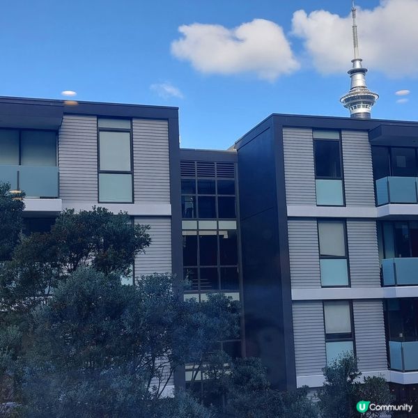 紐西蘭奧克蘭大道推介酒店👍